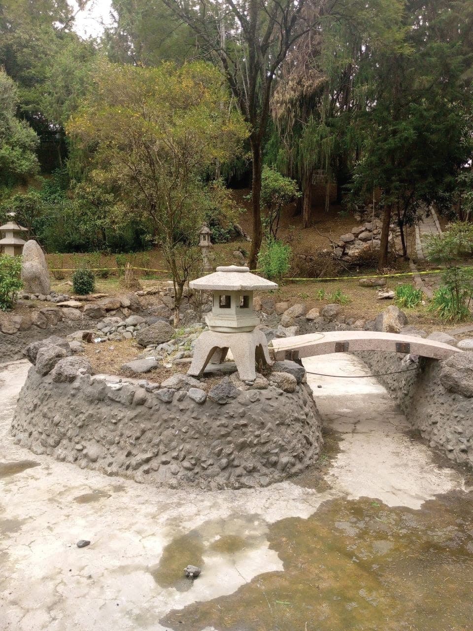 Japanese Garden Renovation