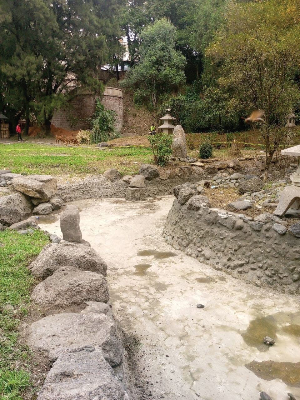 Restored stream bed